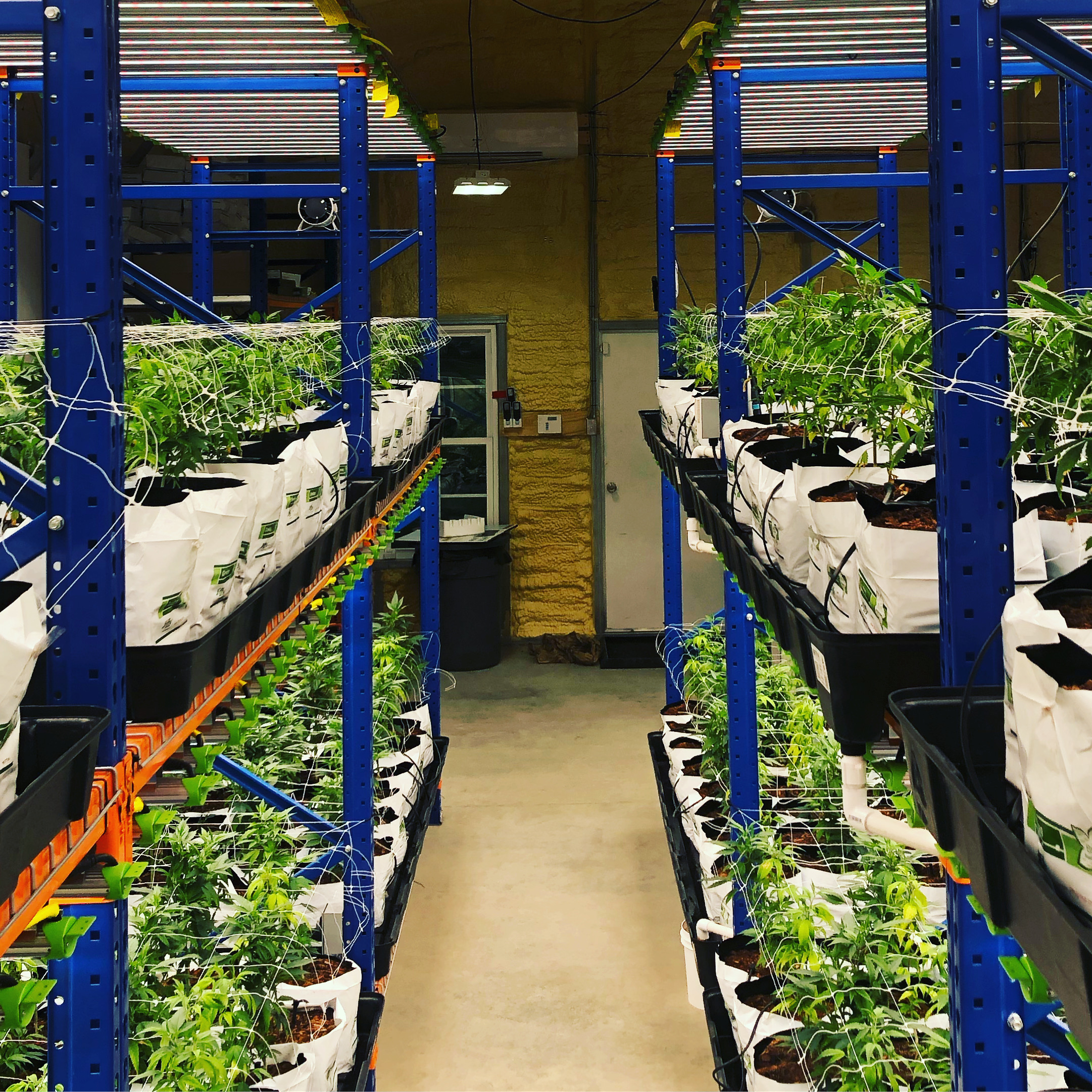 CBD Products Valdosta, GA Good Daze